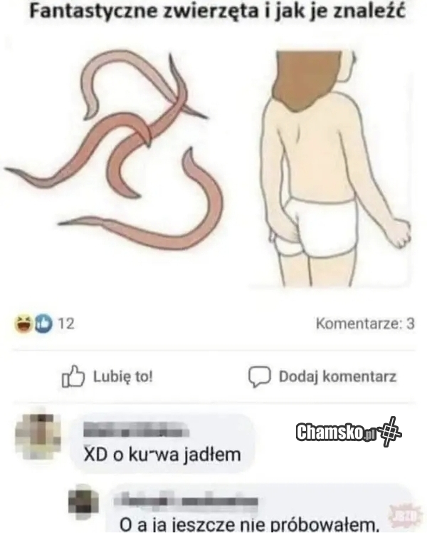 Fantastyczne zwierzęta i jak je znaleźć