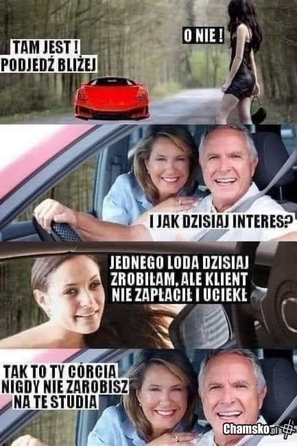 Laska przy drodze
