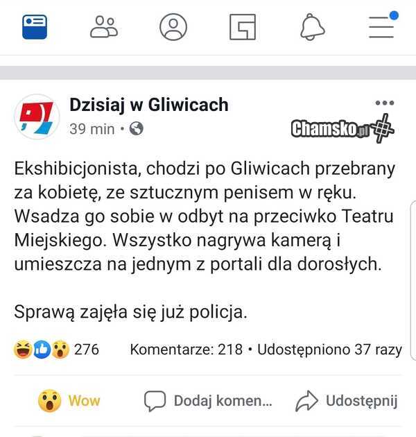 Niecodzienna sytuacja w Gliwicach