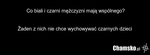 Co biali i czarni mężczyzni mają wspólnego? Żaden z nich nie chce wychowywać czarnych dzieci