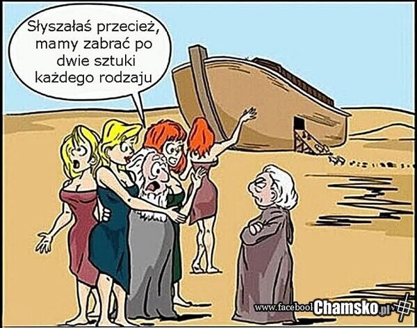 Po dwie sztuki