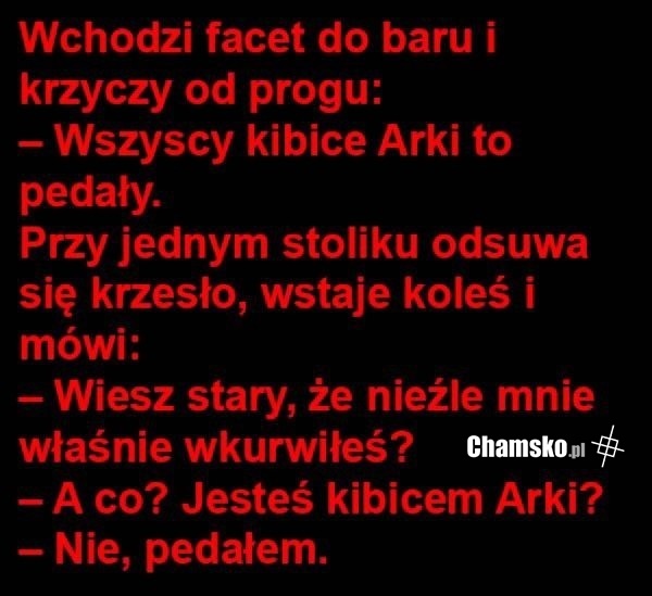 Kibice Arki