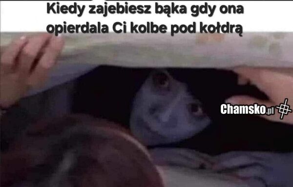 Lodzik pod kołdrą