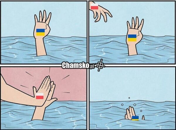 polityka