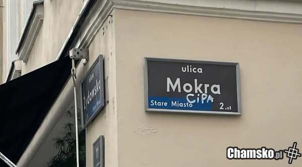 Mokra cipa