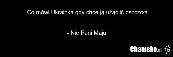 Co mówi Ukrainka gdy chce ją użądlić pszczoła - Nie Pani Maju