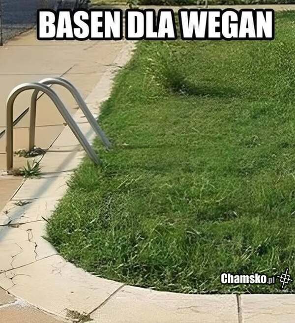 Wege Woda