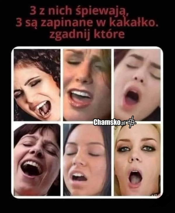 Zgadnijcie która śpiewa