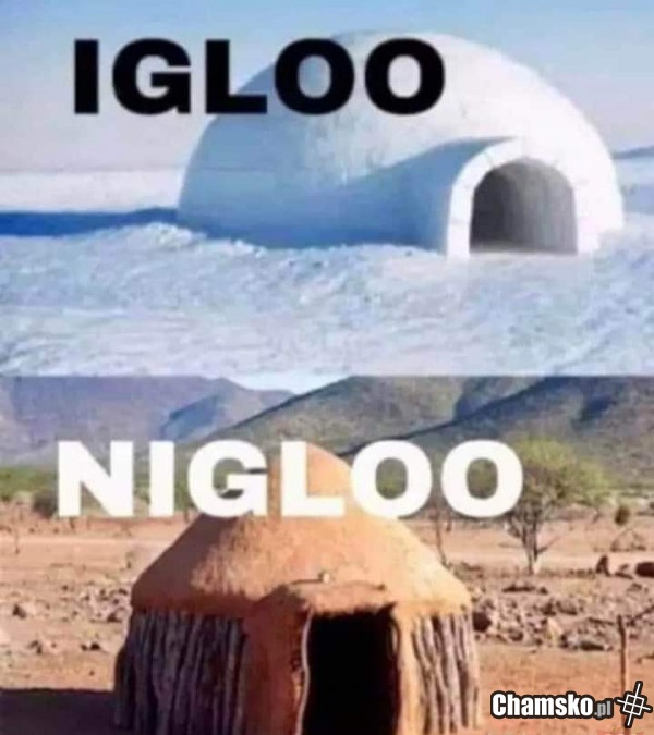 Iglo