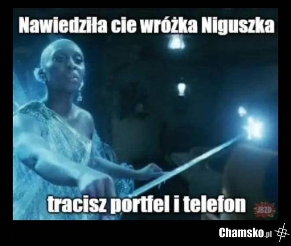 Wróżka Niguszka
