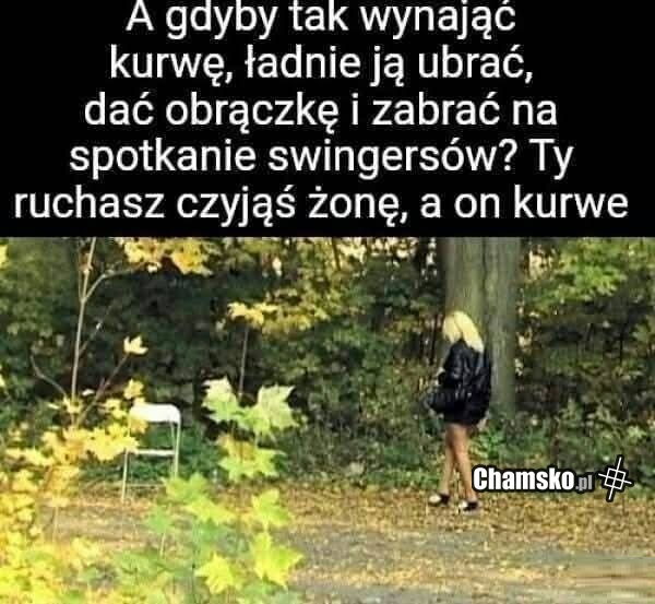 Pomysł bez wad