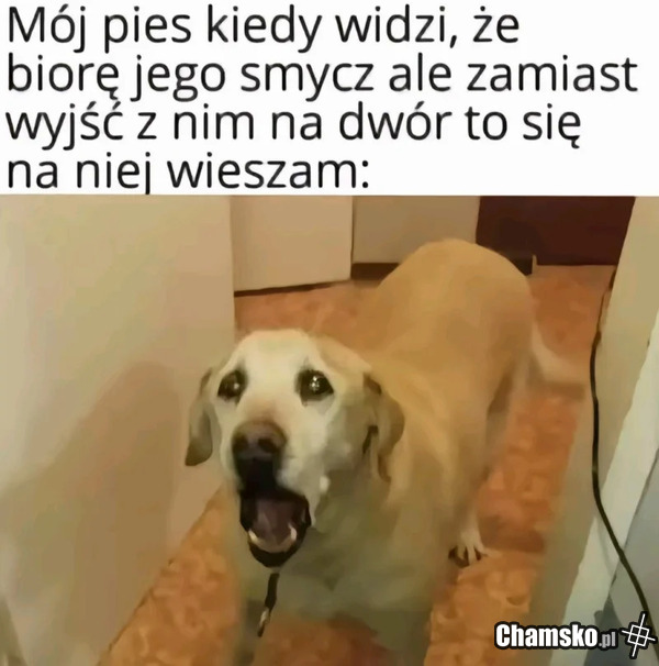 Spacerku nie będzie