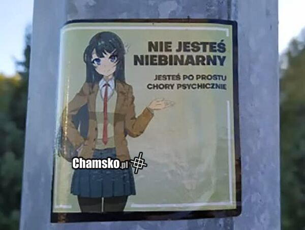 Nie jesteś...