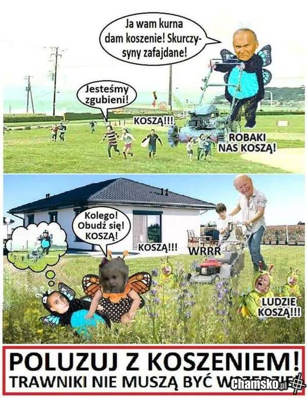 Idzie wiosna. Nie koście traw - zatrzymacie więcej wody z deszczu i uchronicie dom wielu tysięcy zwierząt!