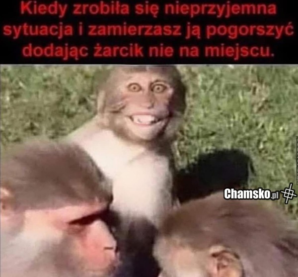 Żart w idealnym momencie