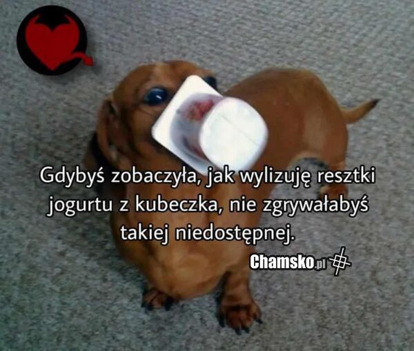 Wylizywanie