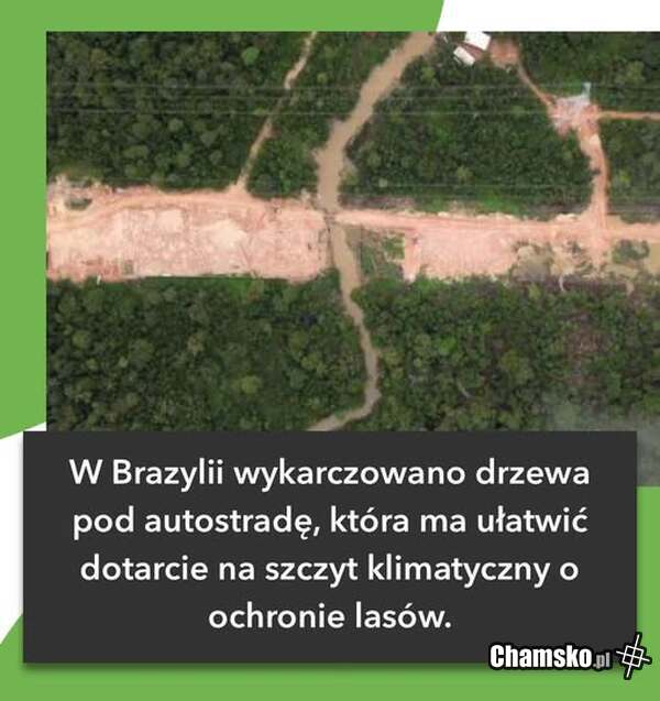 Czy jesteś eko ?