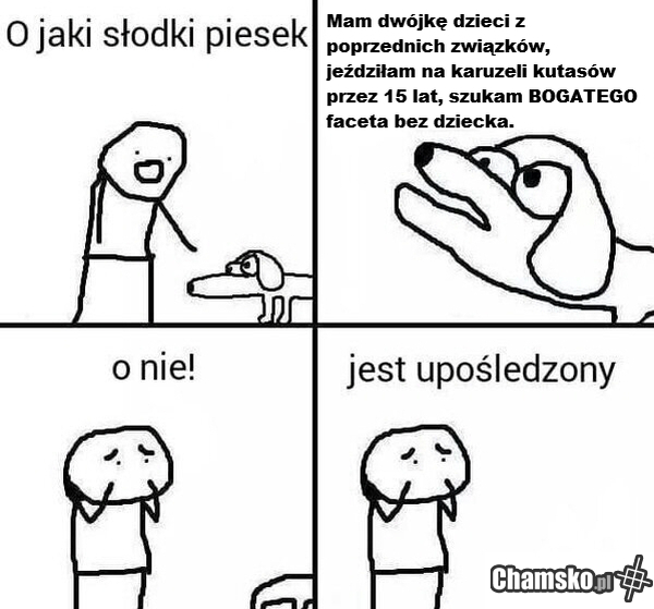 Współczesne kobiety w wielkim skrócie.