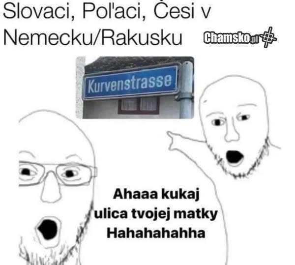Polacy i Czesi