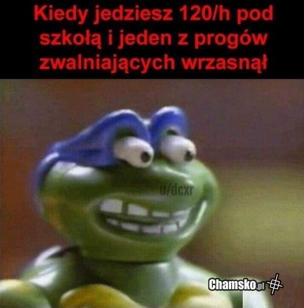 Progi