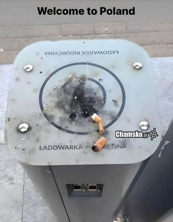 Polacy to tępe chuje