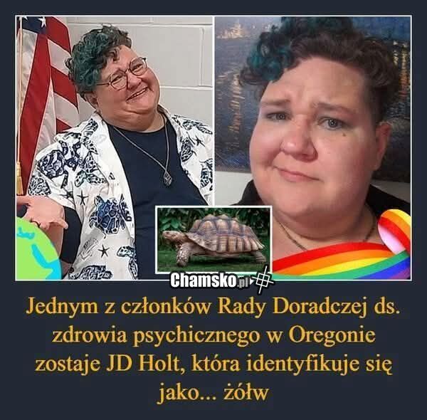 Żółw