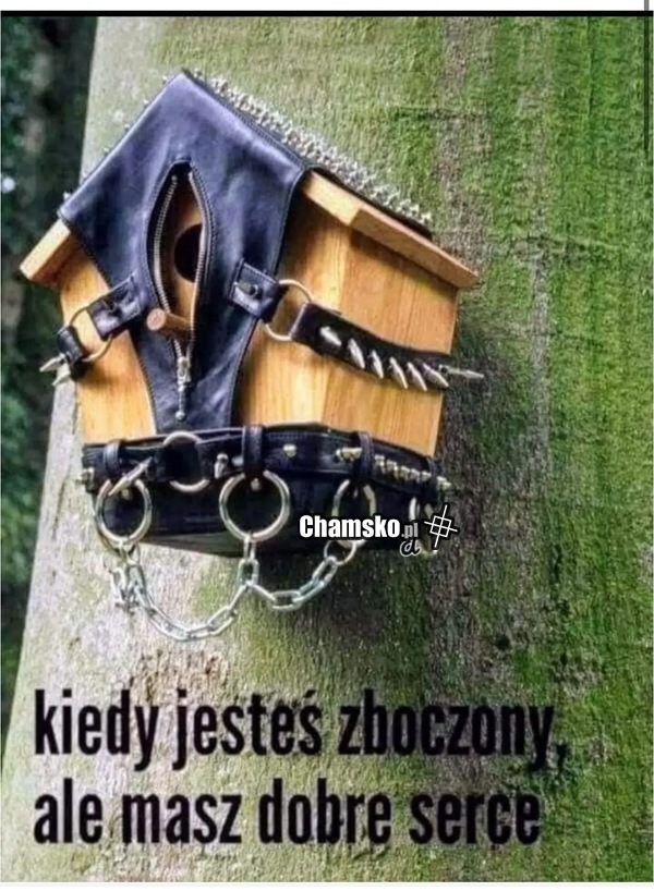 Budka dla ptaków