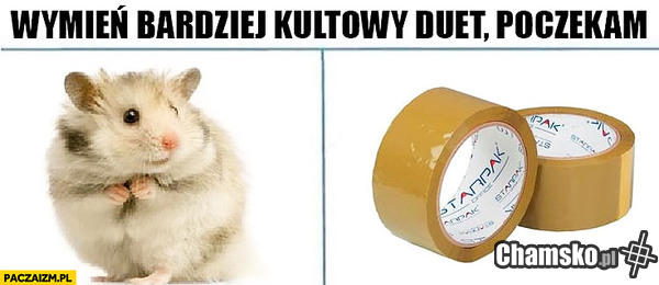 Pdk