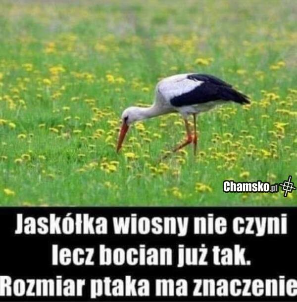 Wiosna
