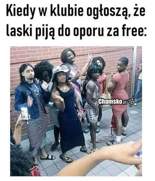 Chlanie za friko
