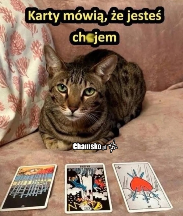 Co mówią karty?