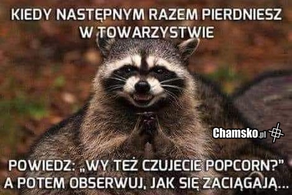 Pierdnięcie