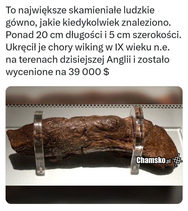 Niezłe gówno