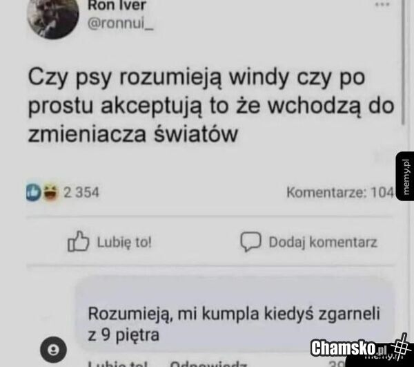 Psy
