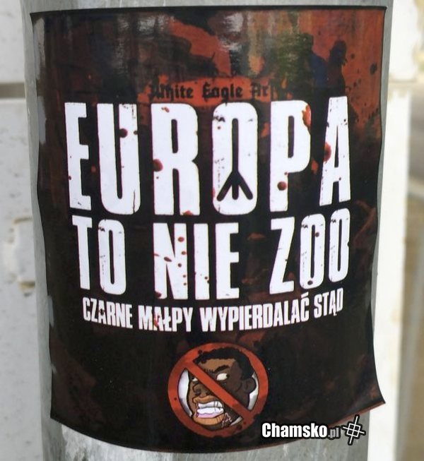 Wlepa