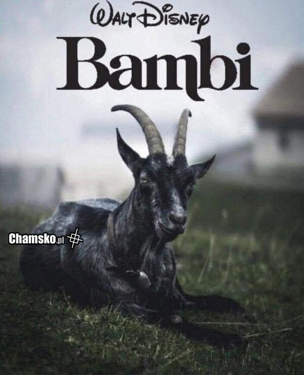 Bambi