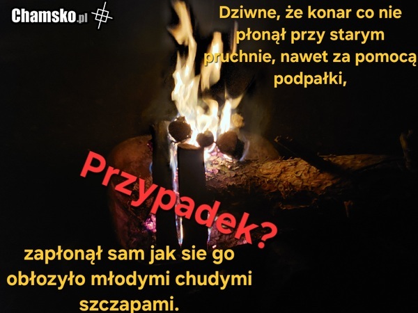 Żona chyba nie zrozumiała. Może Wy docenicie.