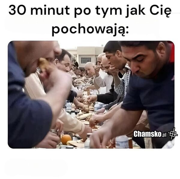 Stypa