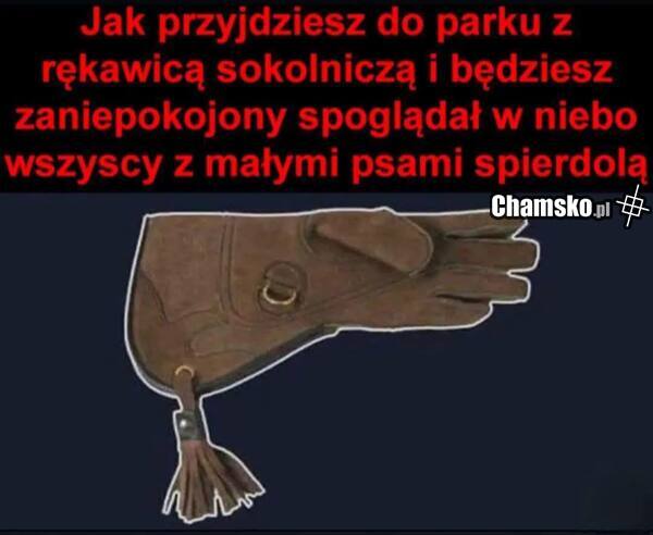 Co można zrobić w parku