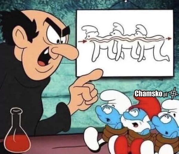 Prawdziwy plan gargamela