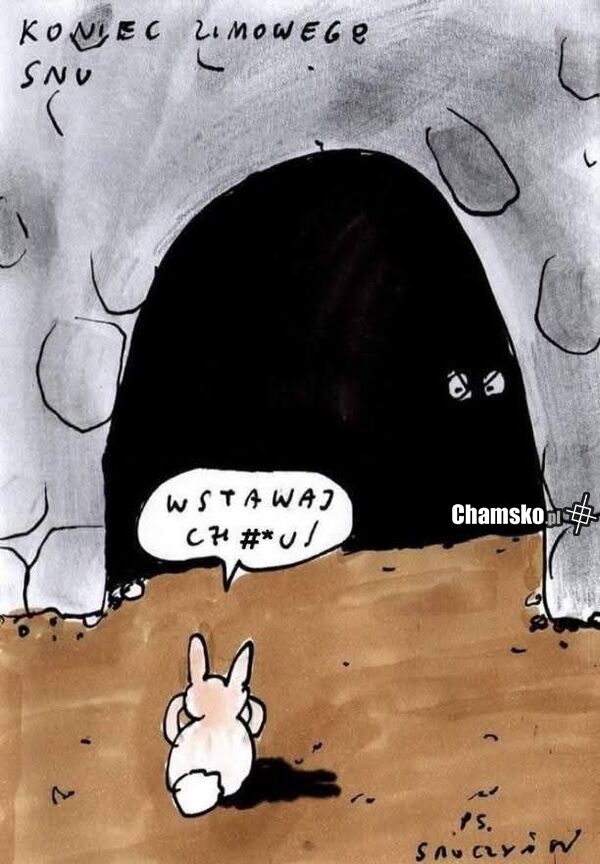 Ostatnie słowa