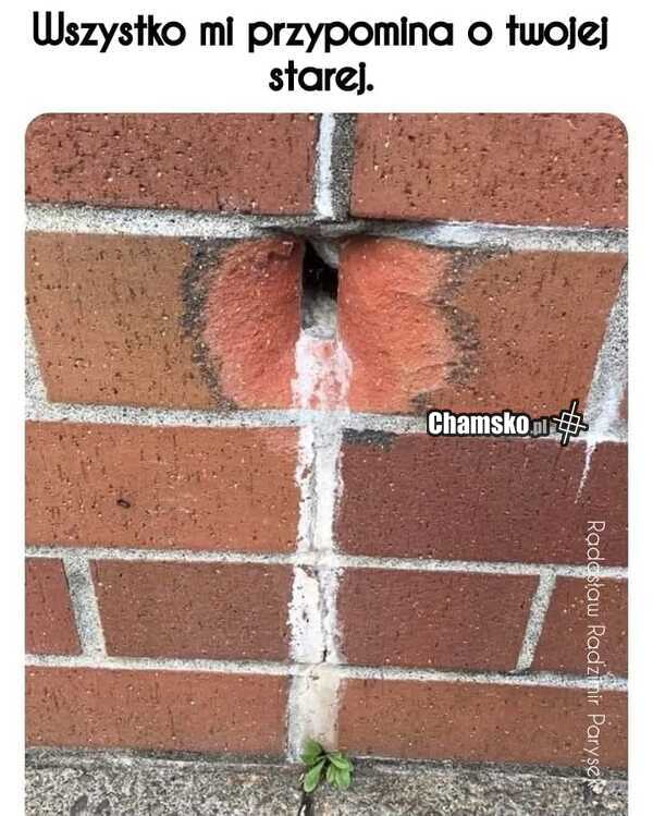 Gdy przypomina Ci się stara...