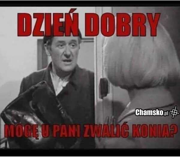 Powinna się zgodzić