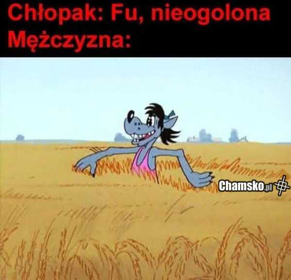 Bobry