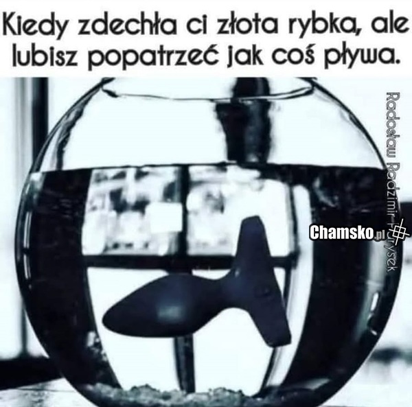 Rybka