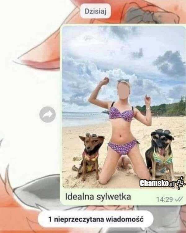 Idealna sylwetka
