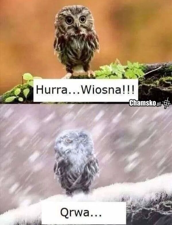 Wiosna