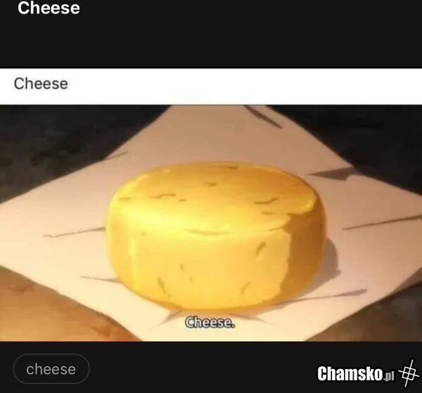 Cheese