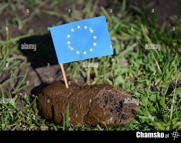 Unia Europejska. Wojewódzki byłby dumny!