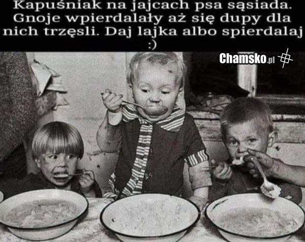 Kapuśniak